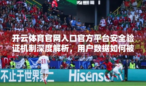 开云体育官网入口官方平台安全验证机制深度解析，用户数据如何被守护？