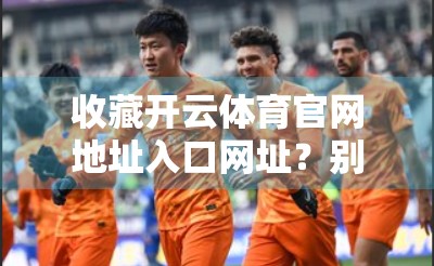 收藏开云体育官网地址入口网址？别再手忙脚乱了！一文教你高效保存+安全访问指南！