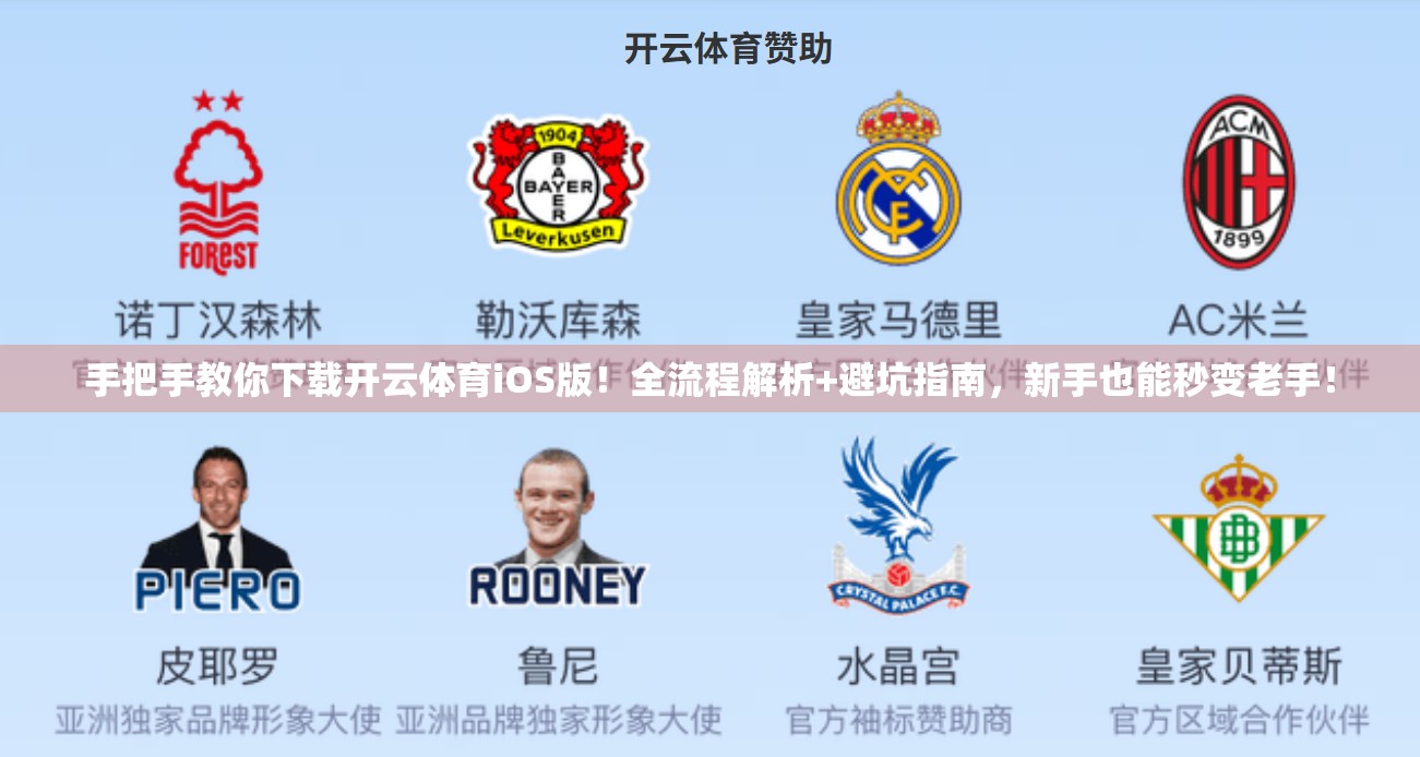 手把手教你下载开云体育iOS版！全流程解析+避坑指南，新手也能秒变老手！