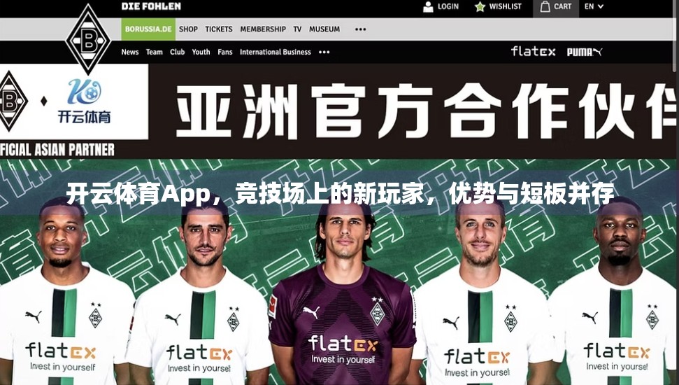 开云体育App，竞技场上的新玩家，优势与短板并存