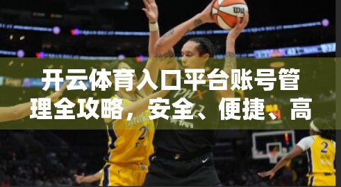 开云体育入口平台账号管理全攻略，安全、便捷、高效三合一指南