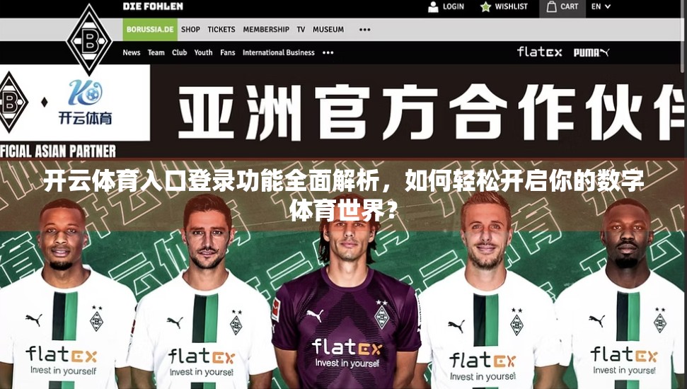 开云体育入口登录功能全面解析，如何轻松开启你的数字体育世界？