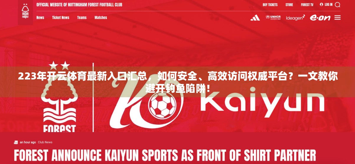 223年开云体育最新入口汇总，如何安全、高效访问权威平台？一文教你避开钓鱼陷阱！