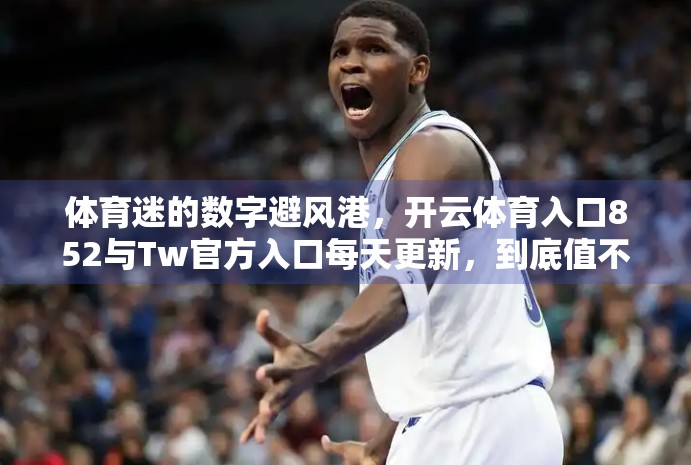 体育迷的数字避风港，开云体育入口852与Tw官方入口每天更新，到底值不值得信赖？