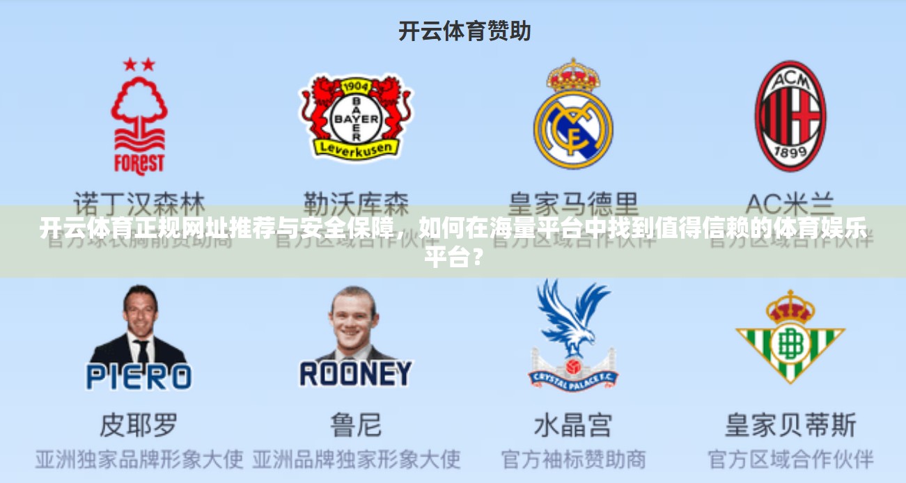 开云体育正规网址推荐与安全保障，如何在海量平台中找到值得信赖的体育娱乐平台？
