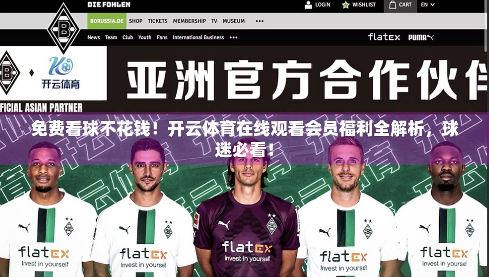 免费看球不花钱！开云体育在线观看会员福利全解析，球迷必看！