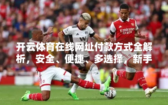 开云体育在线网址付款方式全解析，安全、便捷、多选择，新手也能轻松上手！