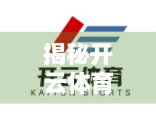 揭秘开云体育在线官网客服联系方式与服务时间，如何高效解决问题？