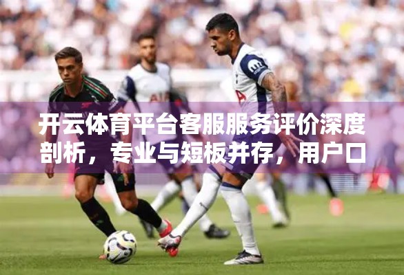 开云体育平台客服服务评价深度剖析，专业与短板并存，用户口碑两极分化？