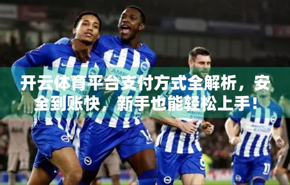 开云体育平台支付方式全解析，安全到账快，新手也能轻松上手！
