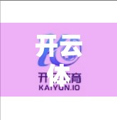 开云体育登录界面常见错误及排查方案，新手避坑指南，轻松解决登录烦恼！