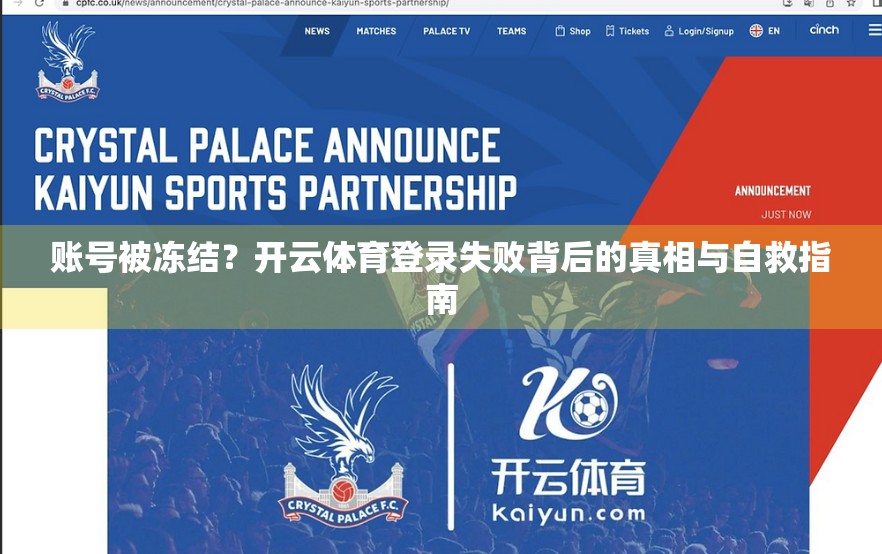 账号被冻结？开云体育登录失败背后的真相与自救指南