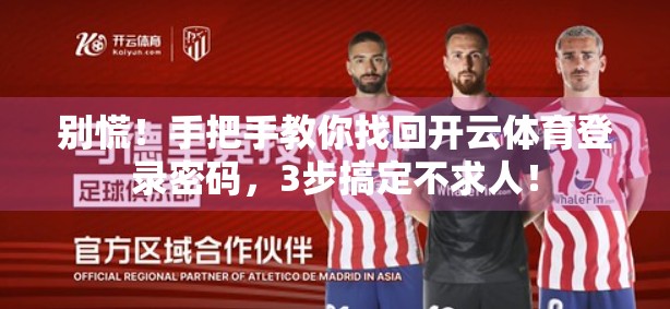 别慌！手把手教你找回开云体育登录密码，3步搞定不求人！