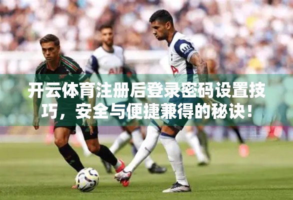 开云体育注册后登录密码设置技巧，安全与便捷兼得的秘诀！