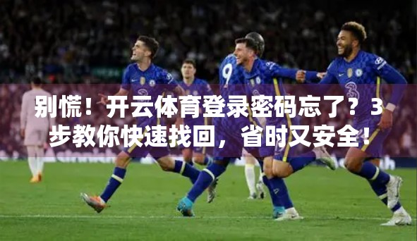 别慌！开云体育登录密码忘了？3步教你快速找回，省时又安全！