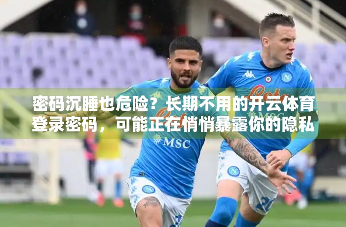 密码沉睡也危险？长期不用的开云体育登录密码，可能正在悄悄暴露你的隐私！