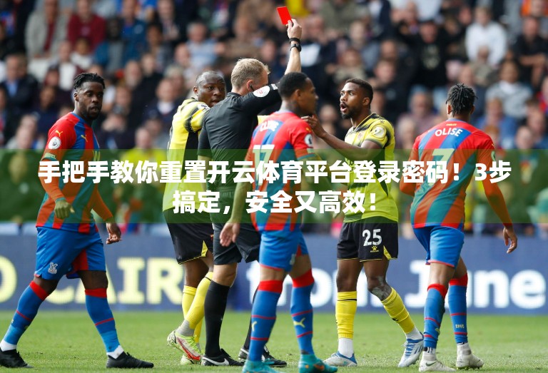 手把手教你重置开云体育平台登录密码！3步搞定，安全又高效！