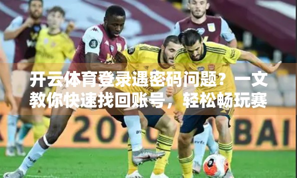 开云体育登录遇密码问题？一文教你快速找回账号，轻松畅玩赛事！