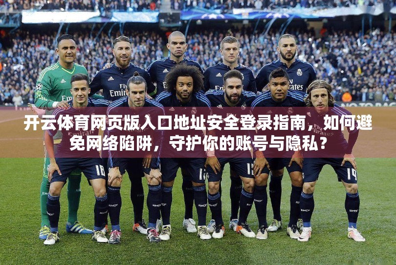 开云体育网页版入口地址安全登录指南，如何避免网络陷阱，守护你的账号与隐私？