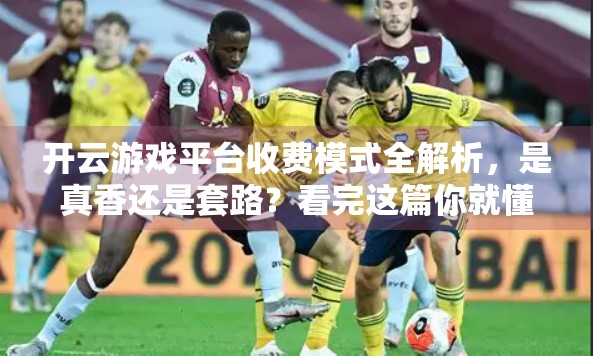 开云游戏平台收费模式全解析，是真香还是套路？看完这篇你就懂了！