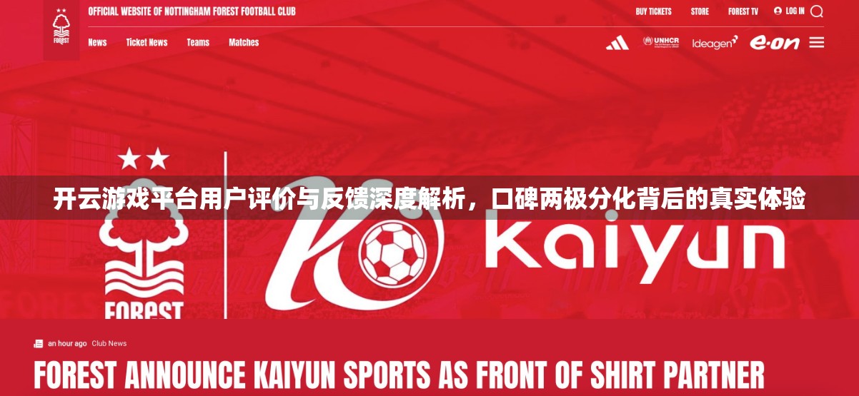 开云游戏平台用户评价与反馈深度解析，口碑两极分化背后的真实体验