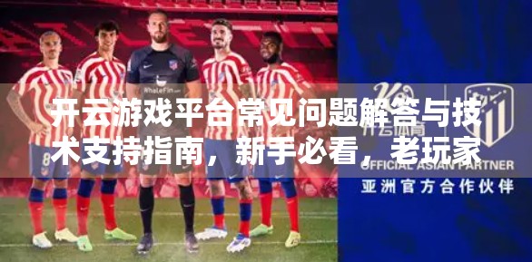 开云游戏平台常见问题解答与技术支持指南，新手必看，老玩家也受益！