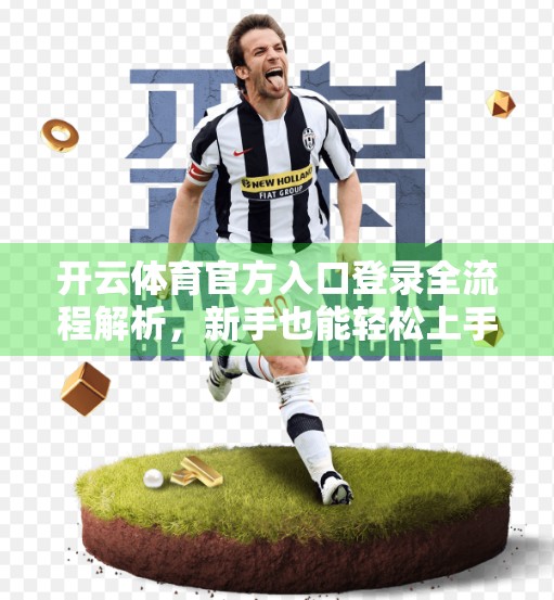 开云体育官方入口登录全流程解析，新手也能轻松上手的实用指南