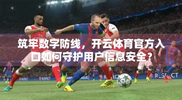 筑牢数字防线，开云体育官方入口如何守护用户信息安全？