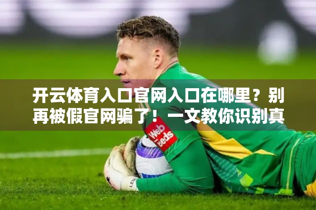 开云体育入口官网入口在哪里？别再被假官网骗了！一文教你识别真伪，安全畅玩！