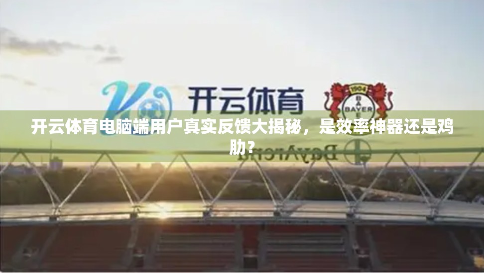 开云体育电脑端用户真实反馈大揭秘，是效率神器还是鸡肋？