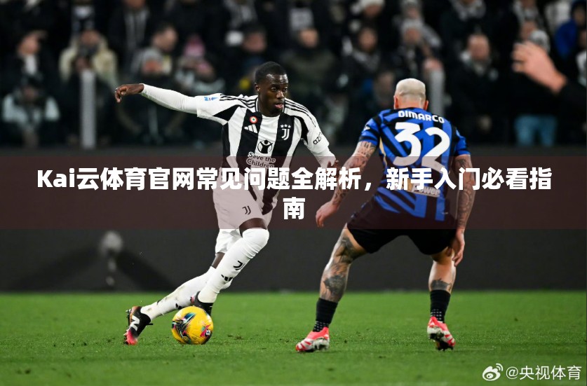 Kai云体育官网常见问题全解析，新手入门必看指南