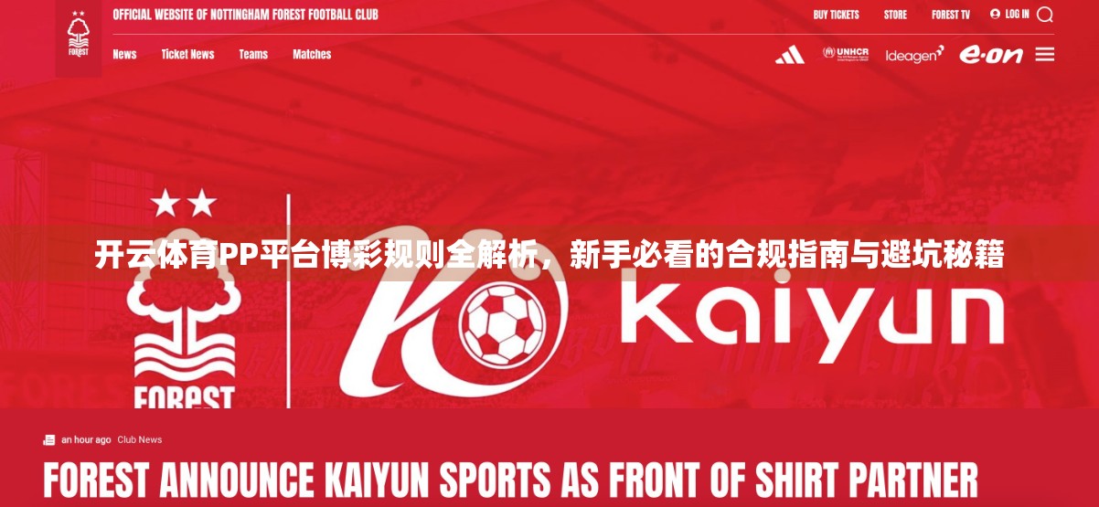 开云体育PP平台博彩规则全解析，新手必看的合规指南与避坑秘籍