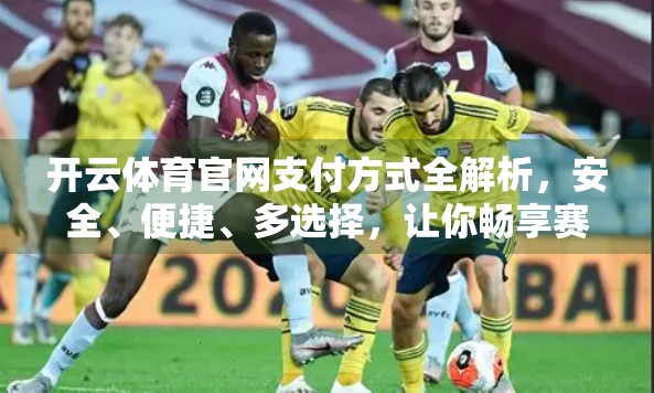 开云体育官网支付方式全解析，安全、便捷、多选择，让你畅享赛事直播不卡顿！