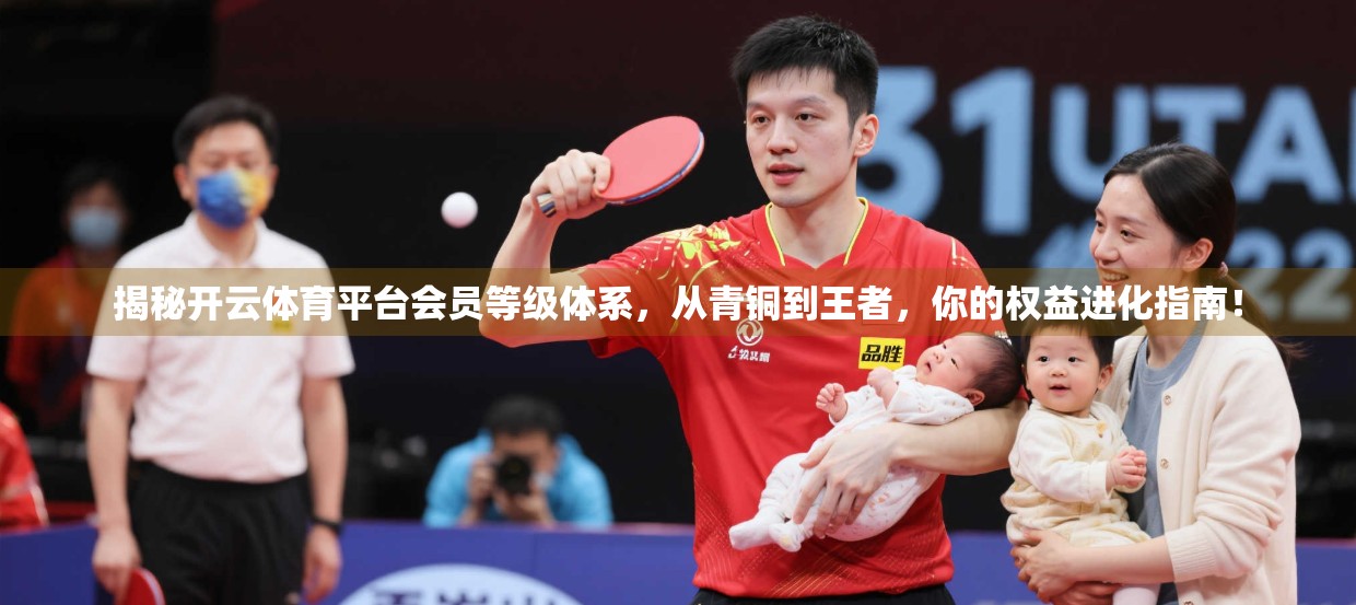 揭秘开云体育平台会员等级体系，从青铜到王者，你的权益进化指南！
