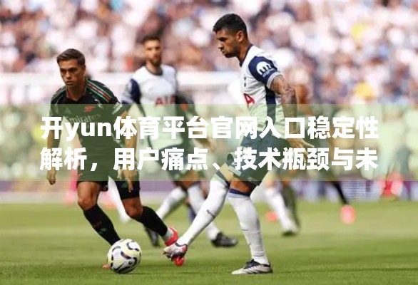 开yun体育平台官网入口稳定性解析，用户痛点、技术瓶颈与未来优化方向