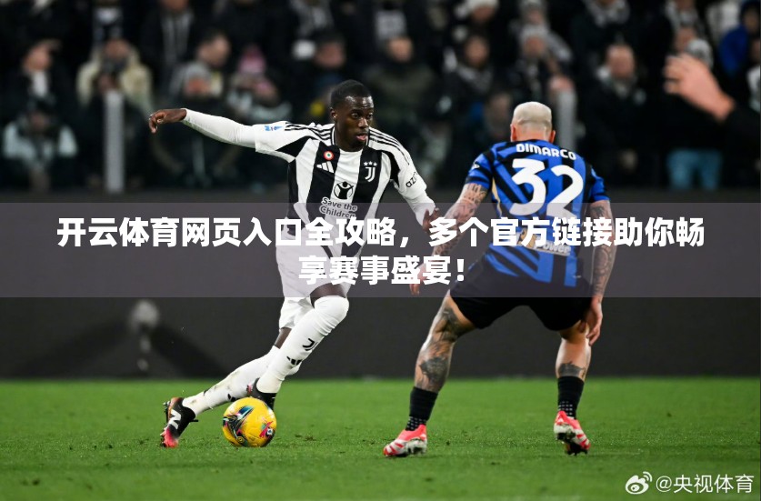 开云体育网页入口全攻略，多个官方链接助你畅享赛事盛宴！