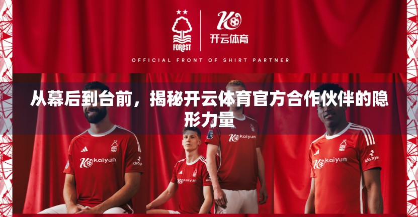 从幕后到台前，揭秘开云体育官方合作伙伴的隐形力量