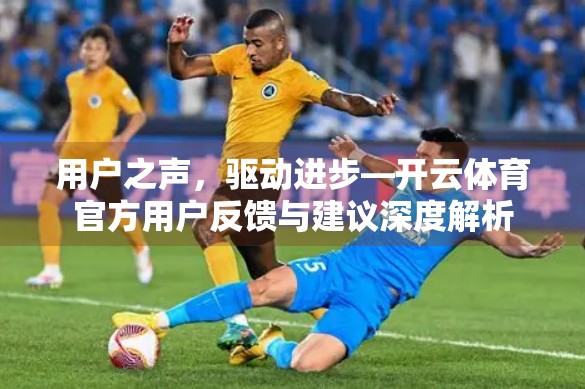 用户之声，驱动进步—开云体育官方用户反馈与建议深度解析