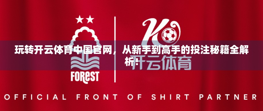 玩转开云体育中国官网，从新手到高手的投注秘籍全解析！