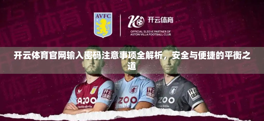 开云体育官网输入密码注意事项全解析，安全与便捷的平衡之道