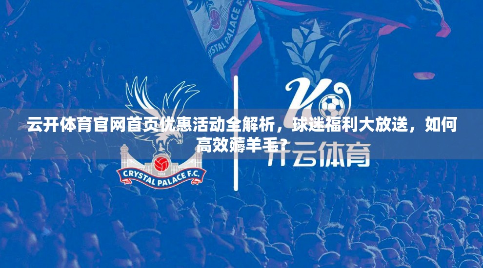 云开体育官网首页优惠活动全解析，球迷福利大放送，如何高效薅羊毛？