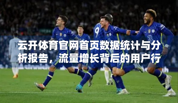 云开体育官网首页数据统计与分析报告，流量增长背后的用户行为密码