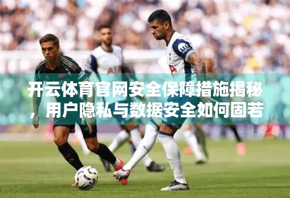 开云体育官网安全保障措施揭秘，用户隐私与数据安全如何固若金汤？