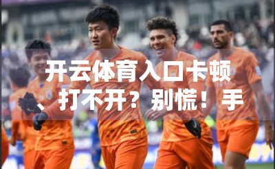 开云体育入口卡顿、打不开？别慌！手把手教你轻松解决常见问题！